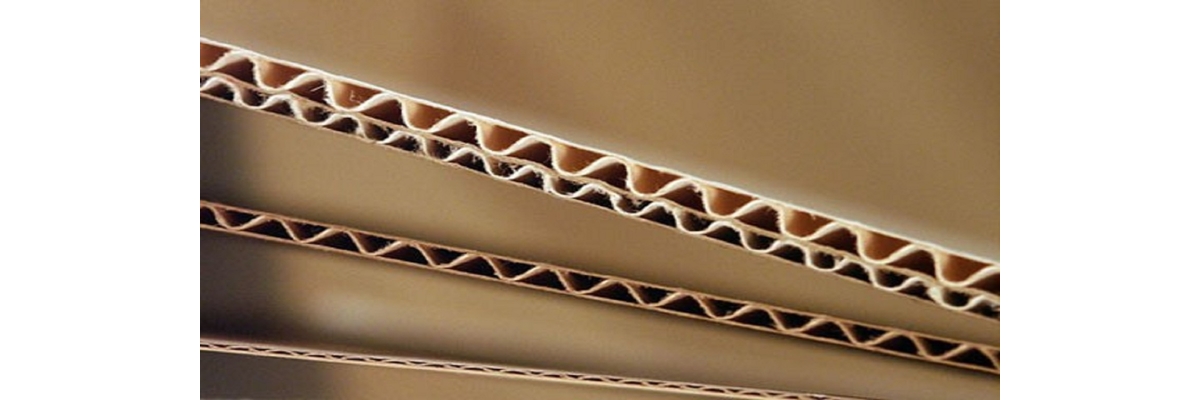 Book Now! Corrugated Industry Induction Course for SPA Members